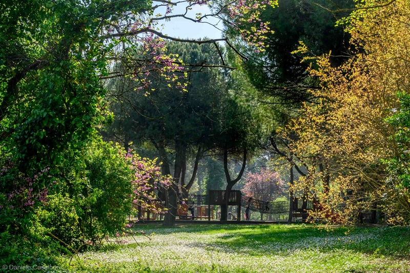 Riccione investe nel verde e nelle aree ludiche per una città più sostenibile e accogliente