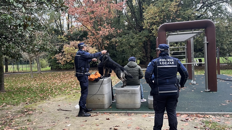 Il controllo del territorio della Polizia locale di Riccione: sequestrati droga, un coltello e un ciclomotore non assicurato