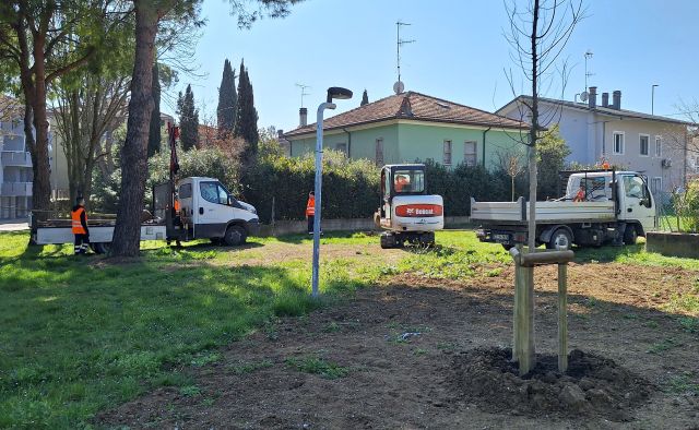 Riccione investe nel patrimonio arboreo: al via la piantumazione dei primi 166 alberi