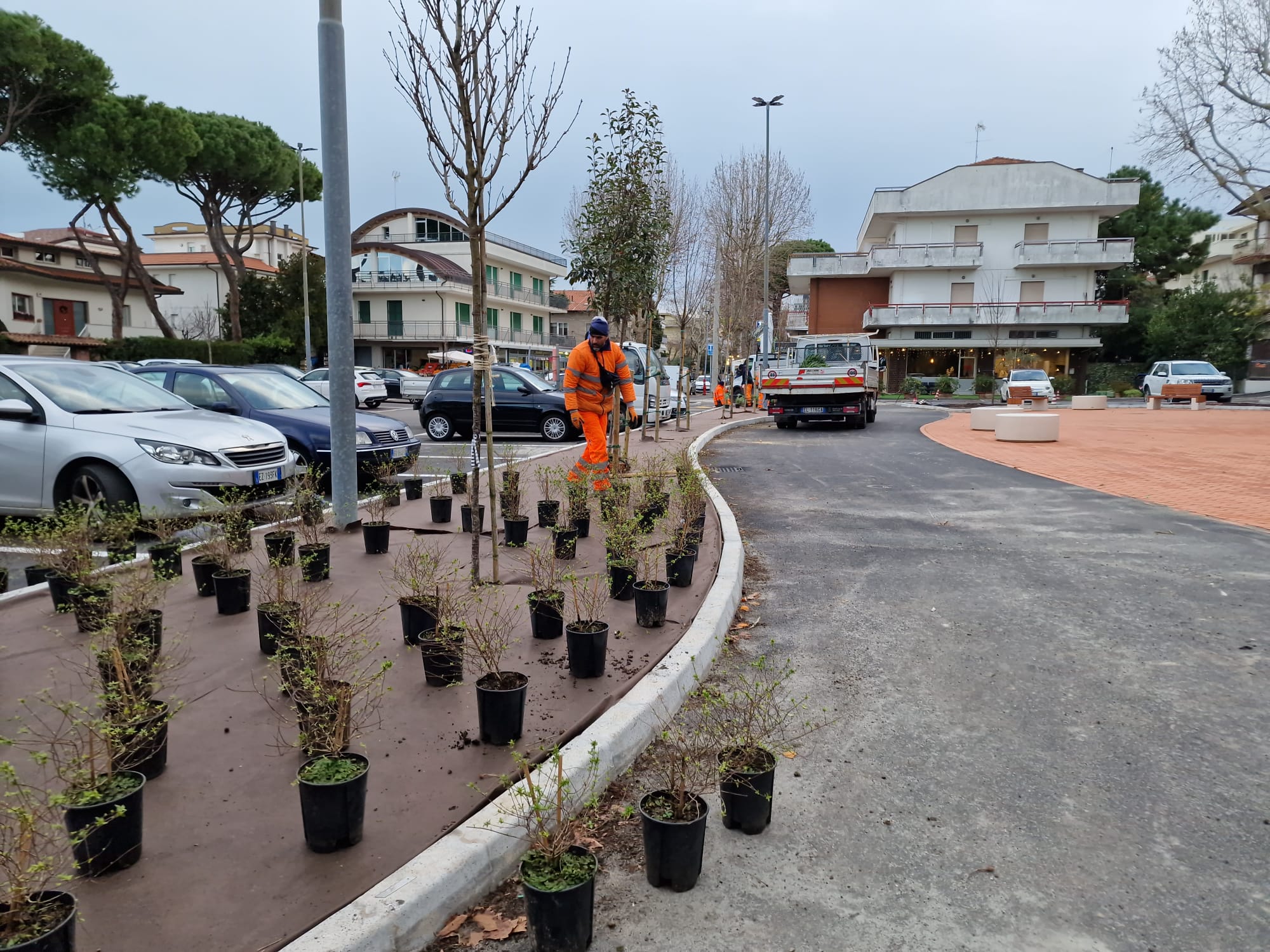 Nuovo piazzale XX Settembre: verso il completamento delle piantumazioni con un progetto pilota sui terreni strutturali