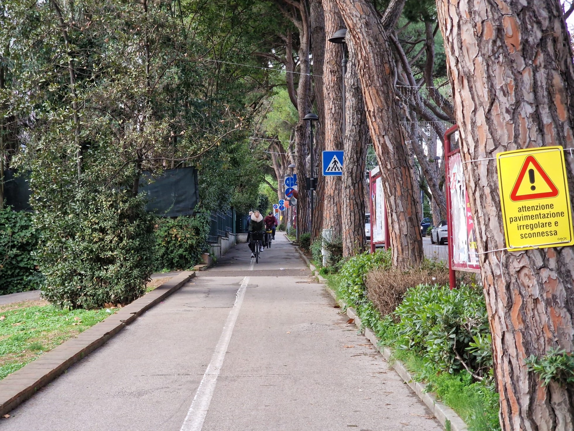 Al via domani i lavori di sistemazione della pista ciclabile di viale Ceccarini