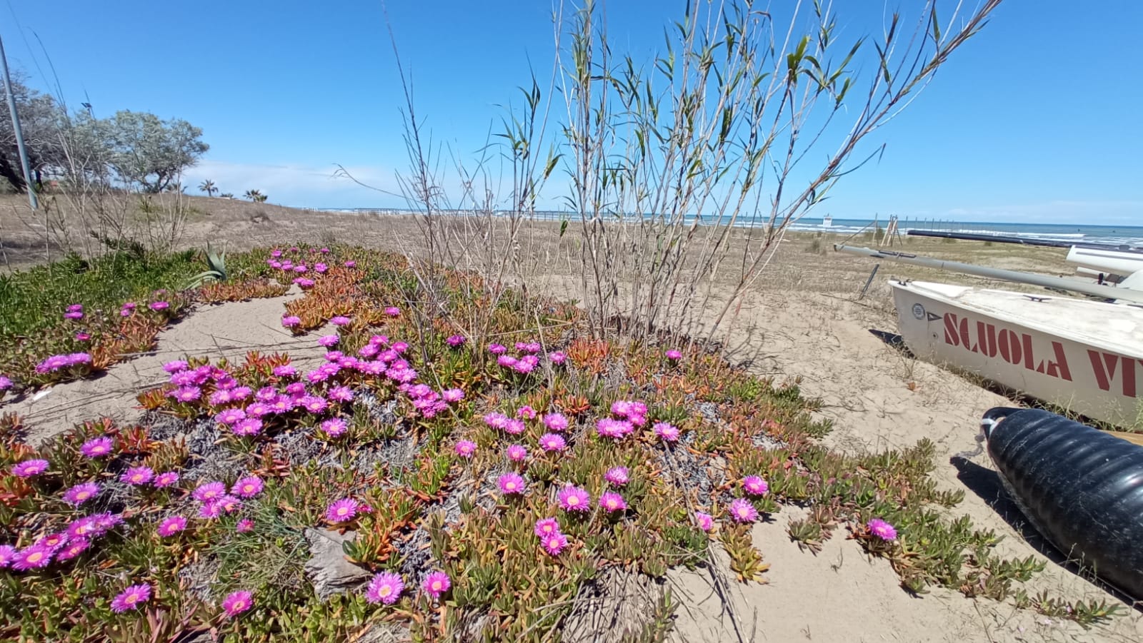 Salvaguardia dell’ecosistema del torrente Marano: il progetto green di Riccione si aggiudica il bando